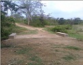 BADO  Gasuapara